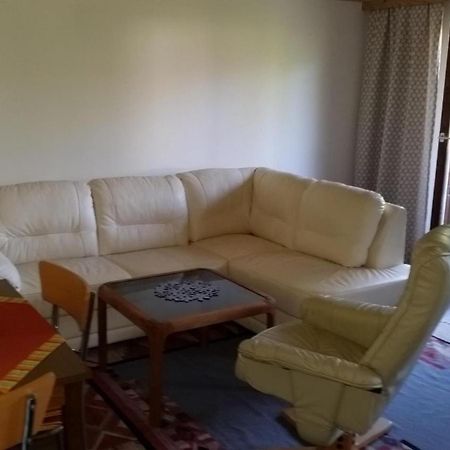 Haus Am Bach Διαμέρισμα Κίρχμπεργκ ιν Τιρόλ Εξωτερικό φωτογραφία