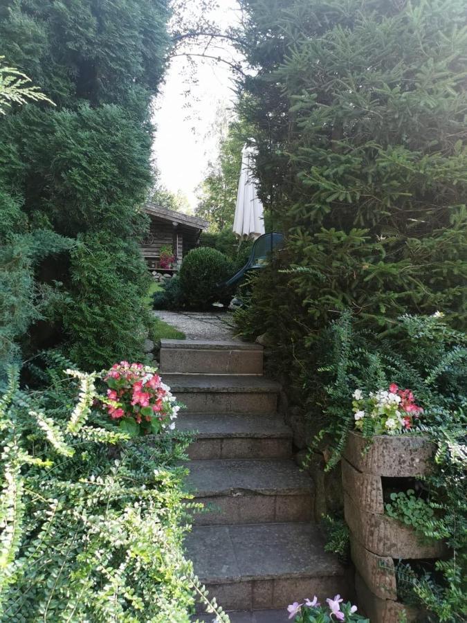 Haus Am Bach Διαμέρισμα Κίρχμπεργκ ιν Τιρόλ Εξωτερικό φωτογραφία