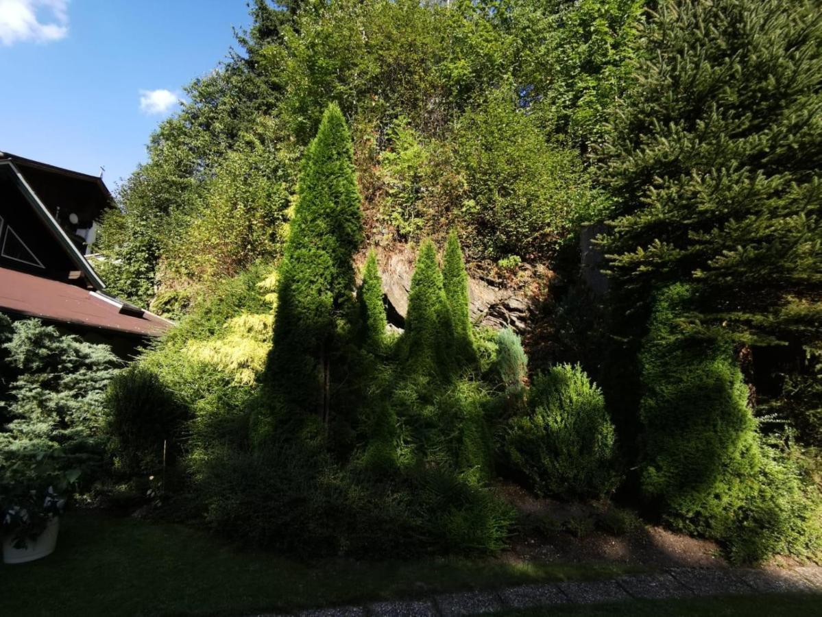 Haus Am Bach Διαμέρισμα Κίρχμπεργκ ιν Τιρόλ Εξωτερικό φωτογραφία
